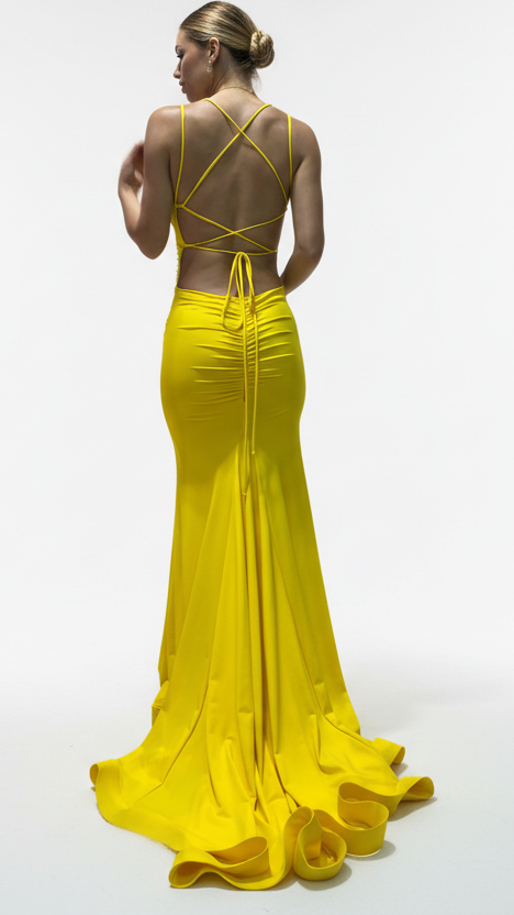 Deep V-Neck And Ruched Back Mermaid Style Gown