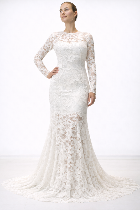 Long Sleeve Gown With See-through Lace Sleeves and Bottom