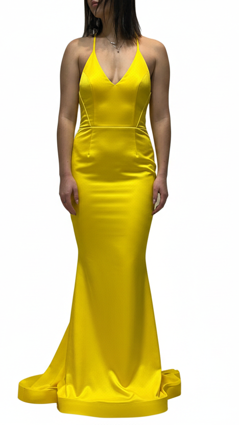 Deep V-Neck And Ruched Back Mermaid Style Gown