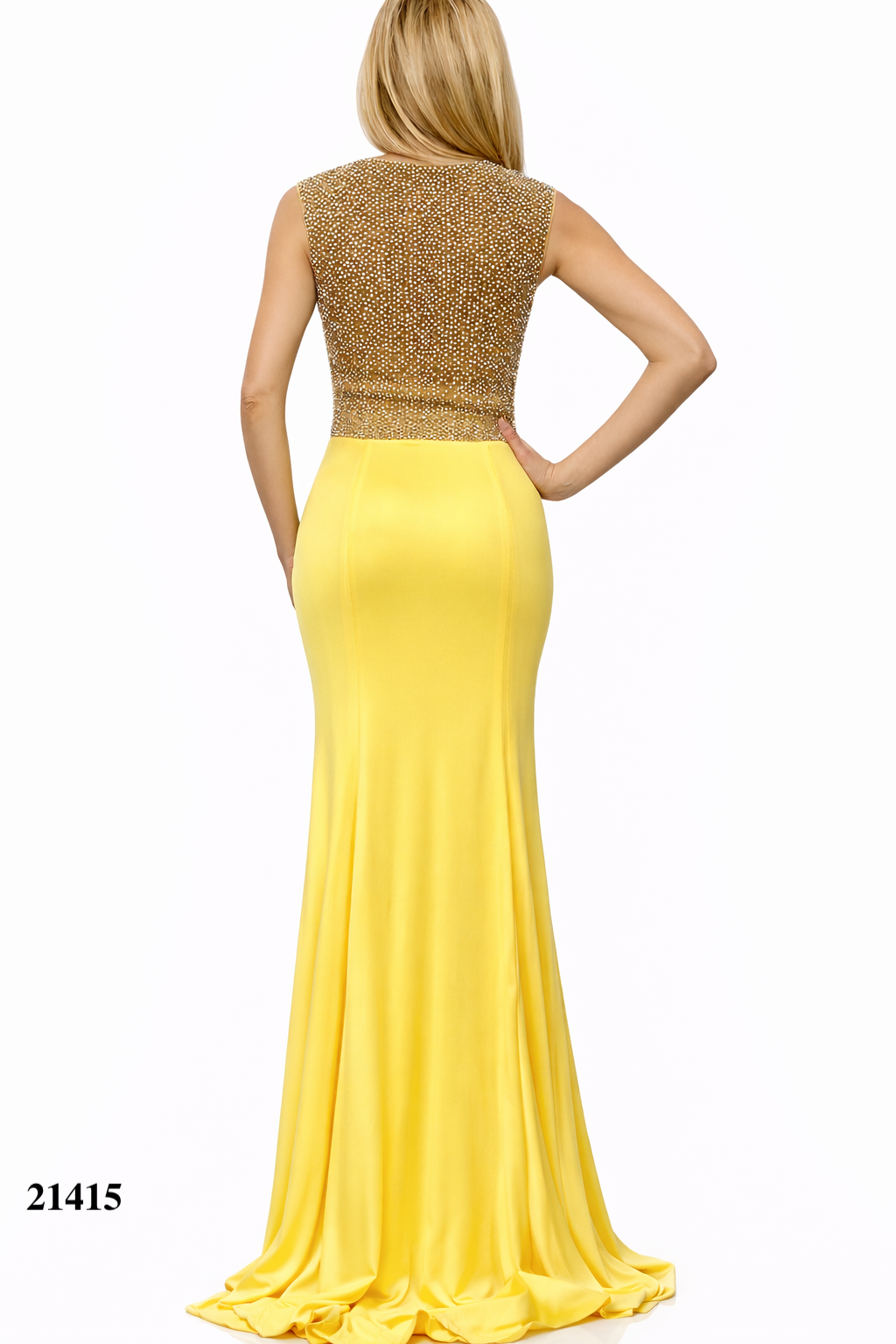 Sleeves Gown With Silver Rhinestones Details at Shoulders and Back