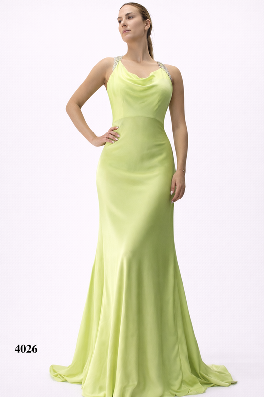 Gown With Rhinestones on Straps and Criss-Cross Details at the back