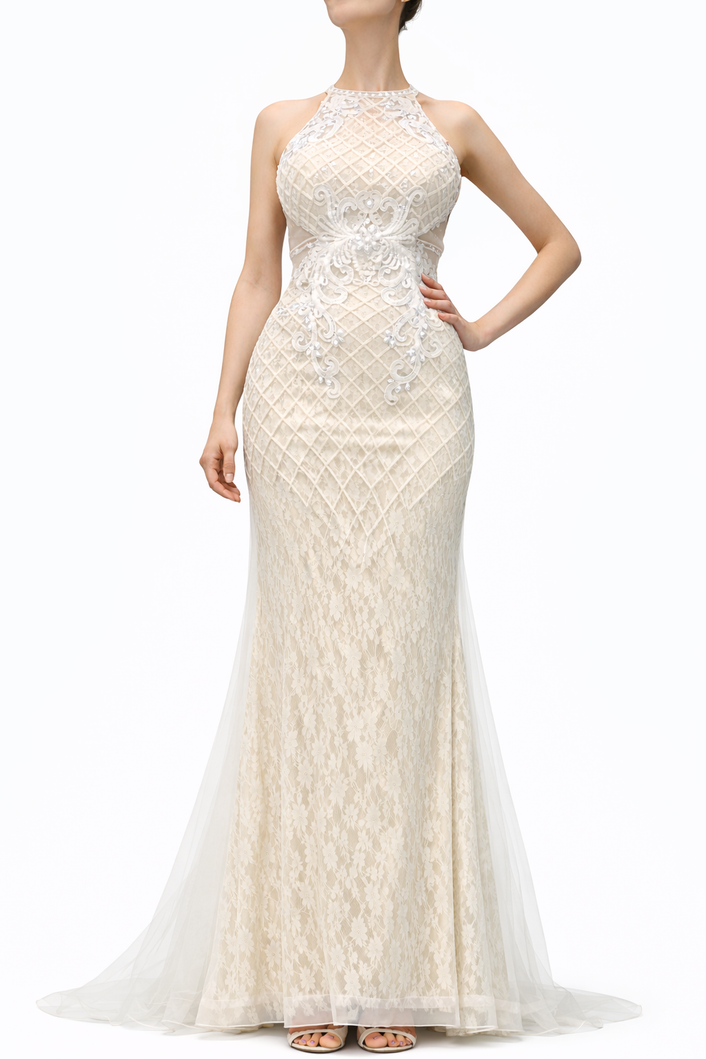 Halter Style Lace Gown with Embroidery Design
