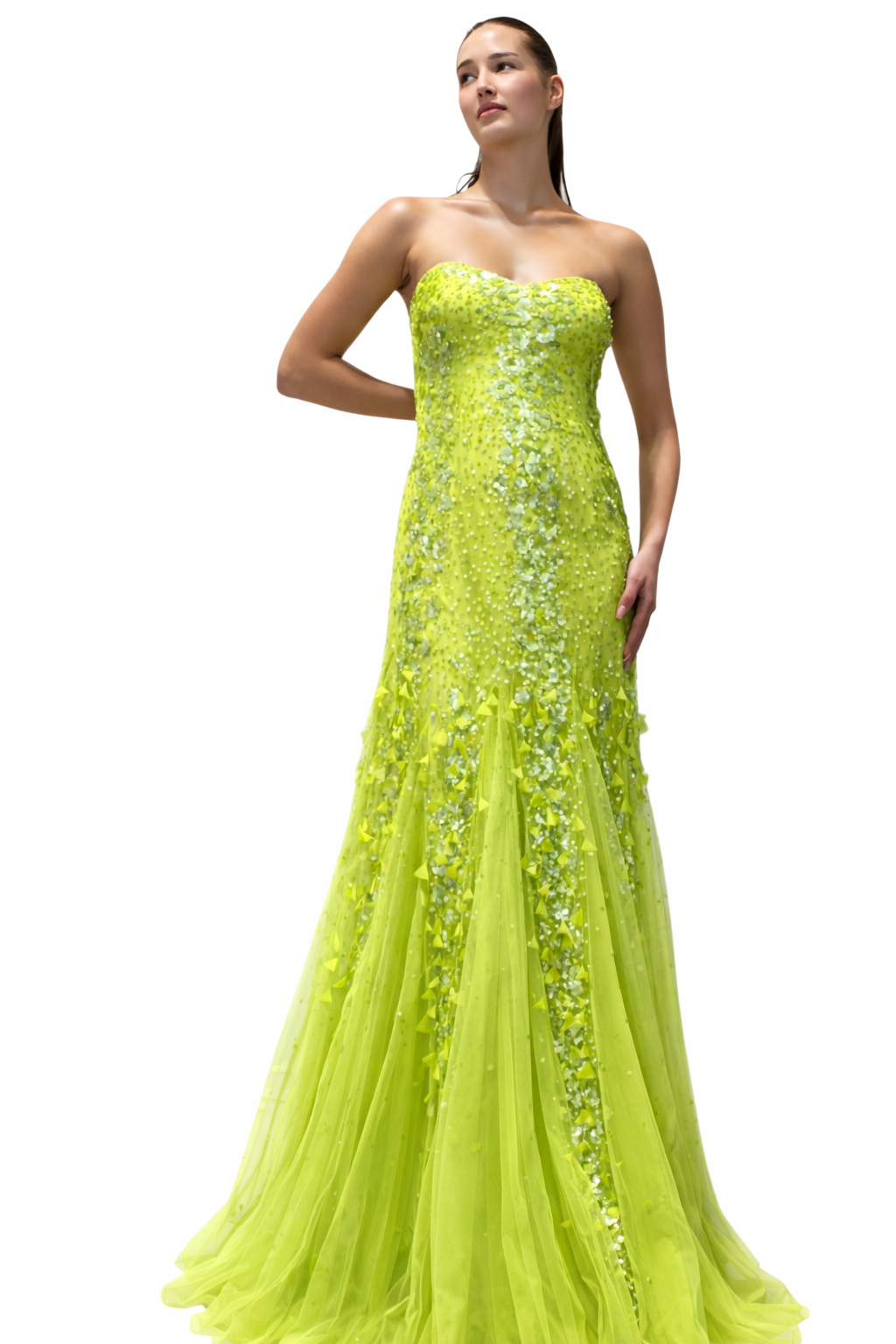 Peacock Feather Yellow Gown